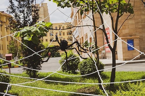 Halloween Decorations Lights with 4ft Spider, 8 Modes, Waterproof R16620