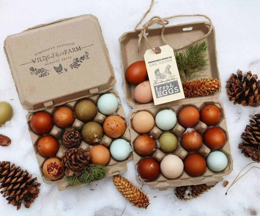 Blank Egg Cartons 75-Pack 3x4 Holds 12 Large Eggs Recycled Cardboard D819