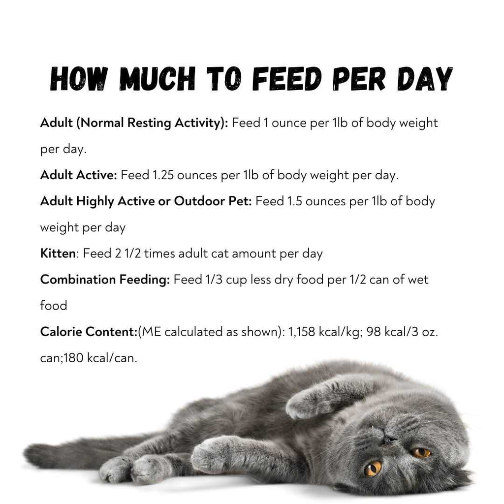 96% Pate Cat Food F47645