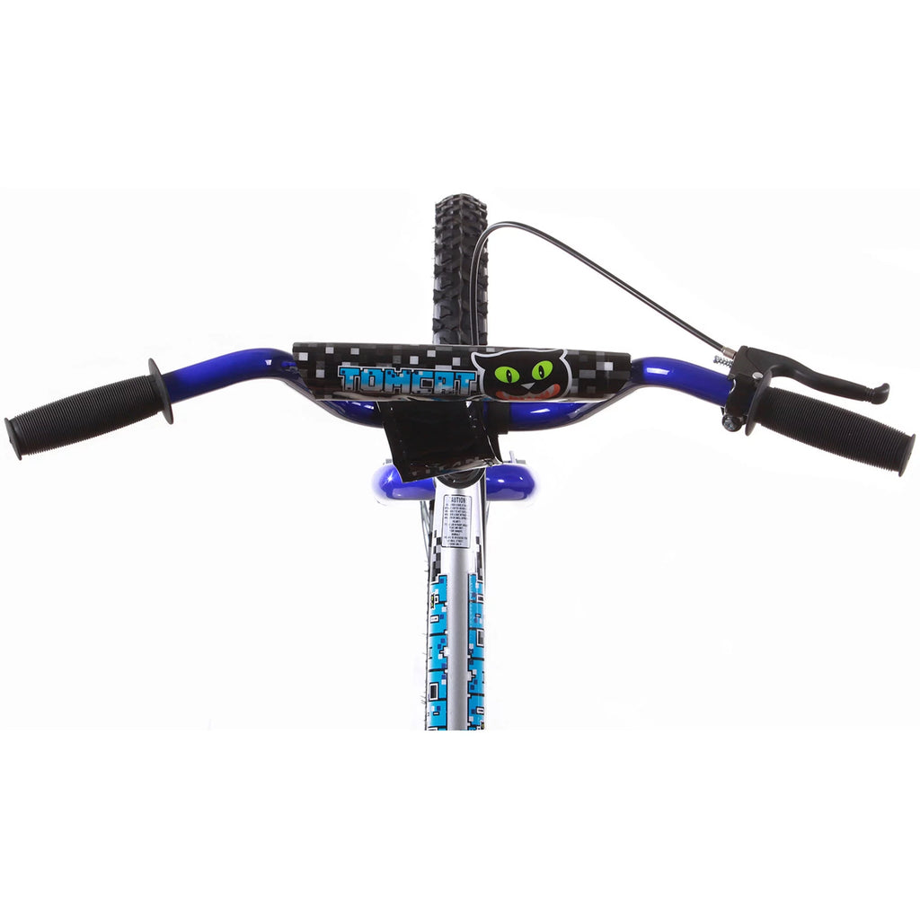 20 In. Blue and Silver BMX Bike T21612