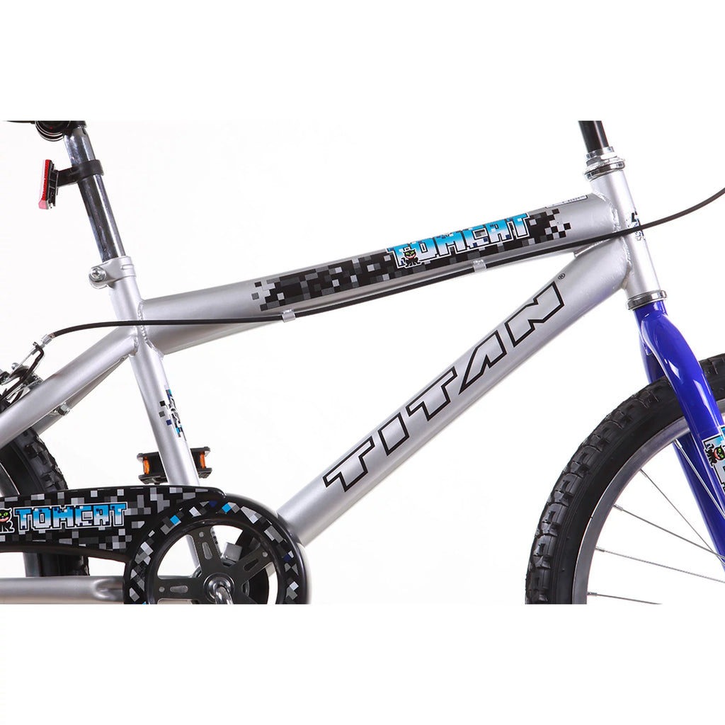 20 In. Blue and Silver BMX Bike T21612