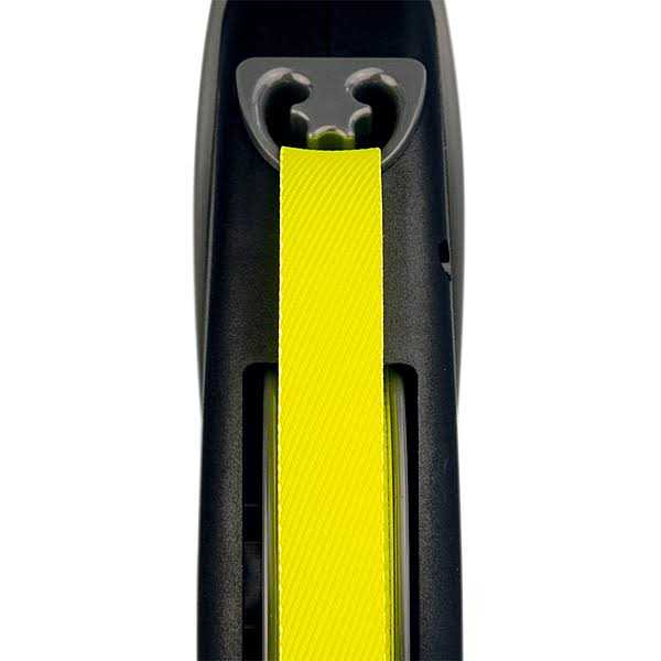 Retractable Dog Leash M754539