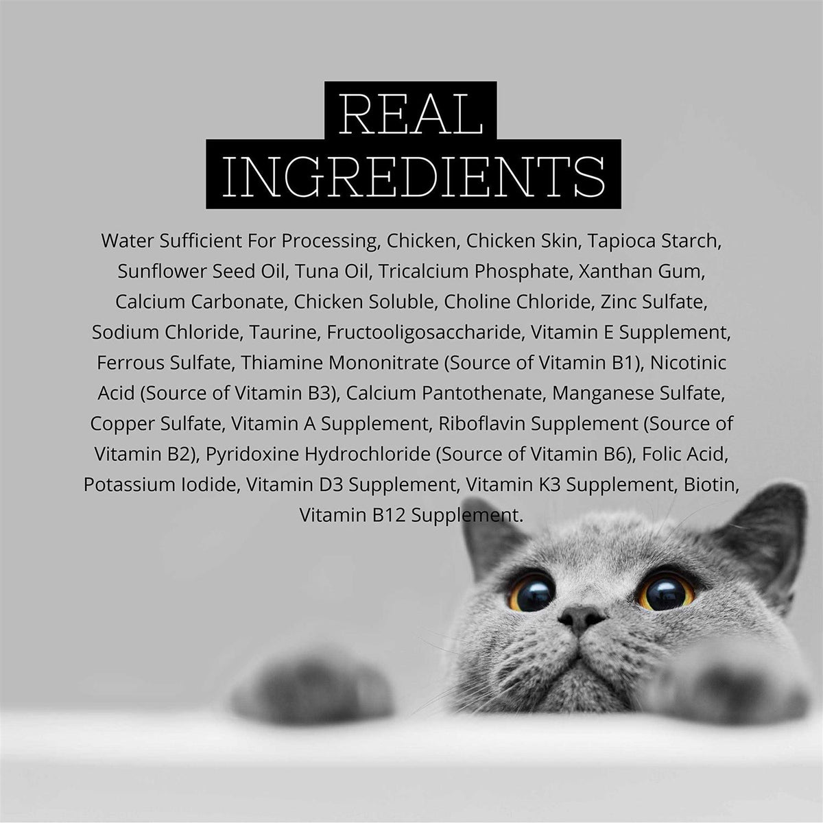 Chicken Gravy Cat Food G830173