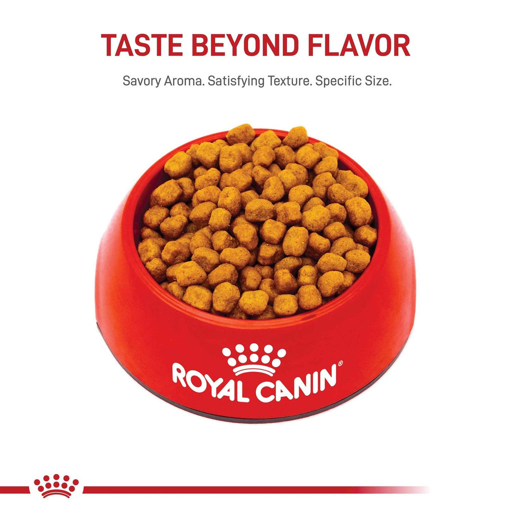 Adult Dry Dog Food C599691