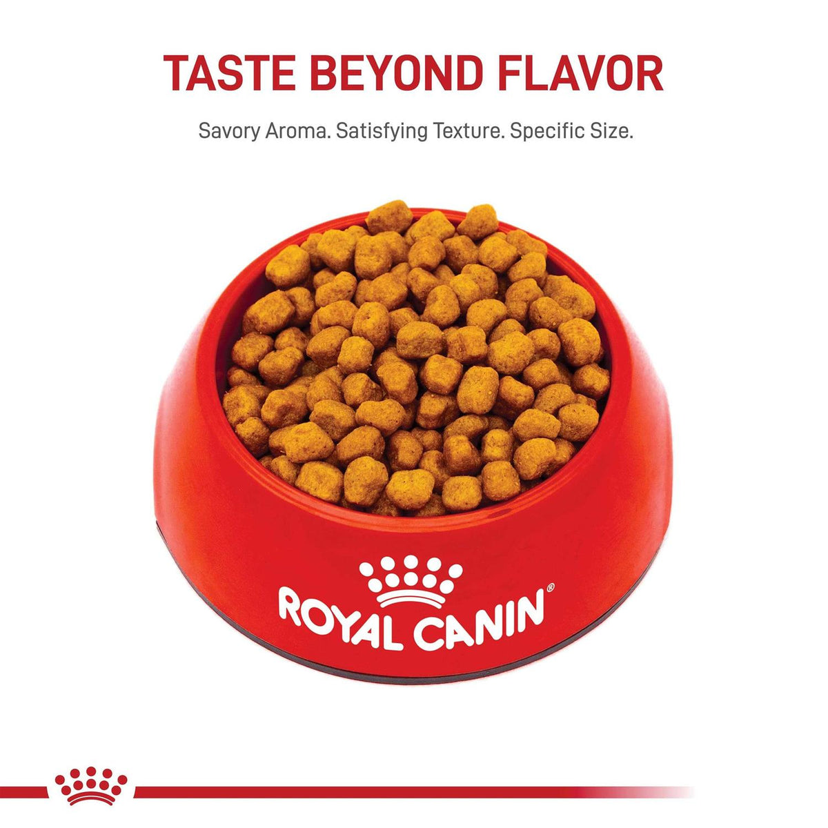 Adult Dry Dog Food C599691