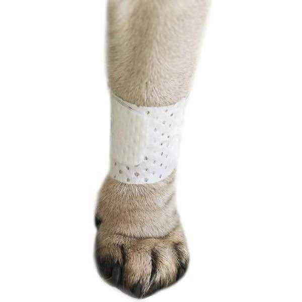 Pet Bandages Protective Covers H37065