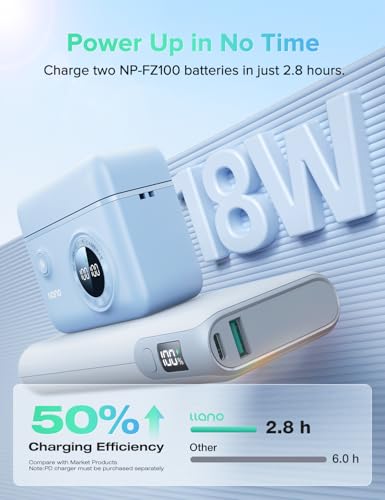 18W Fast Dual USB C Camera Battery Charger with Smart Digital Display G6816