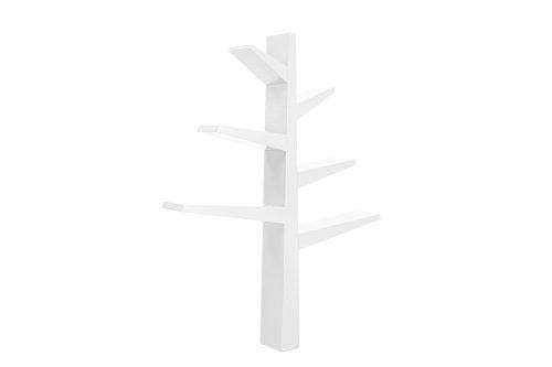 Green Bookcase O65871