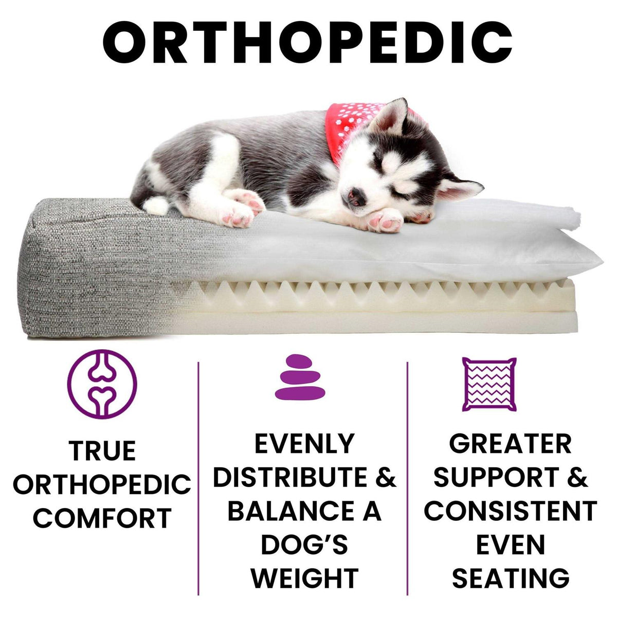 Orthopedic Dog Bed Y1798