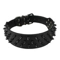 Black Spiked Studded Dog Collar A586242
