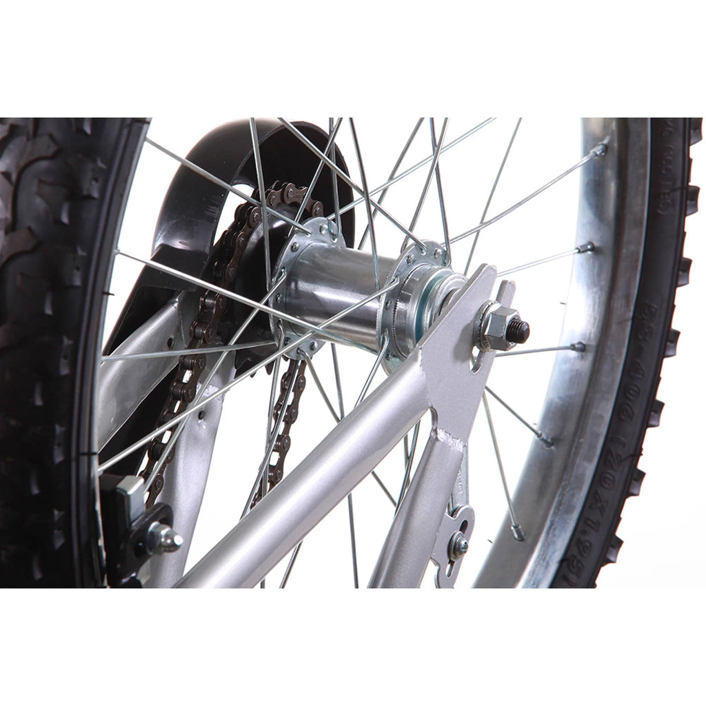 20 In. Blue and Silver BMX Bike T21612
