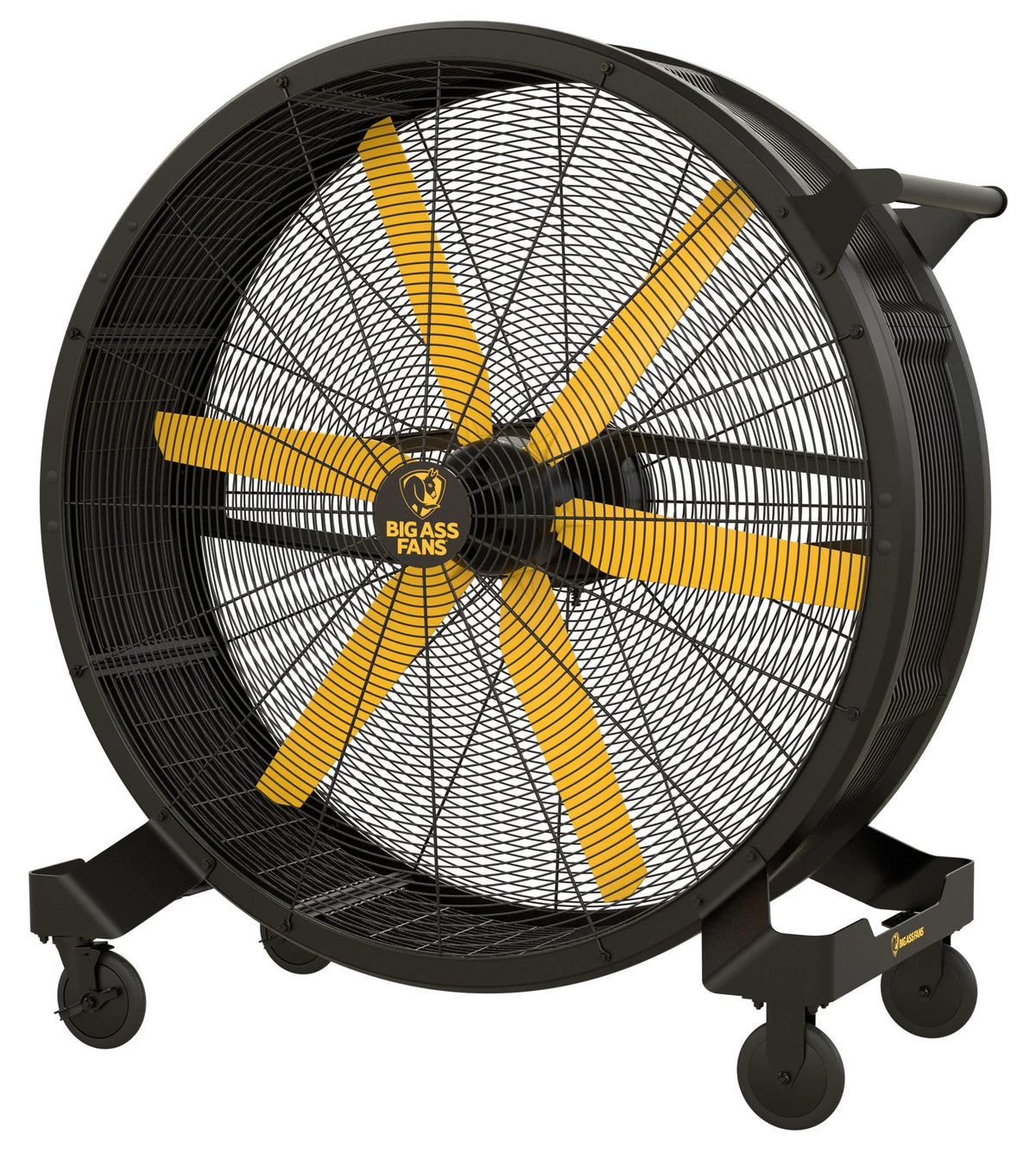 Portable Directional Fan Y781