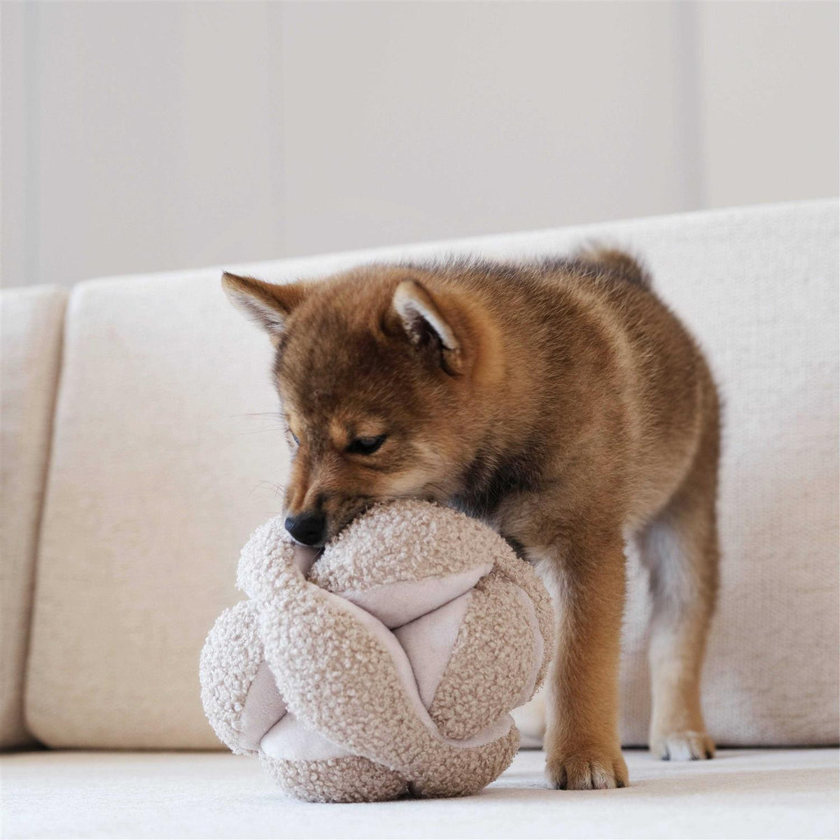 Dog Toy J8615