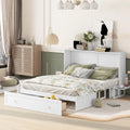 White Queen Size Wood Murphy Bed Cabinet with Storage Drawer Y44516