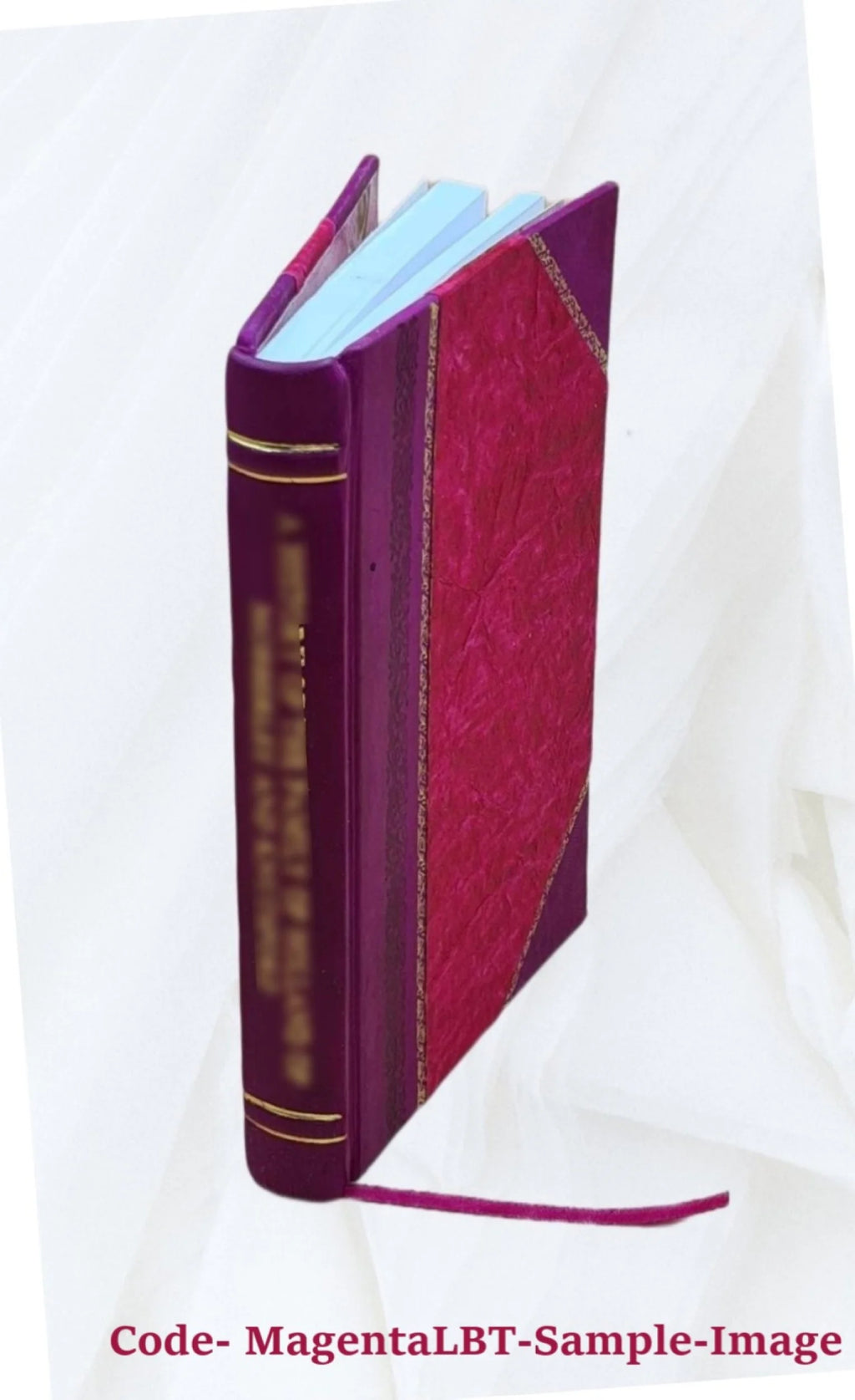 Leather Bound Book B36199