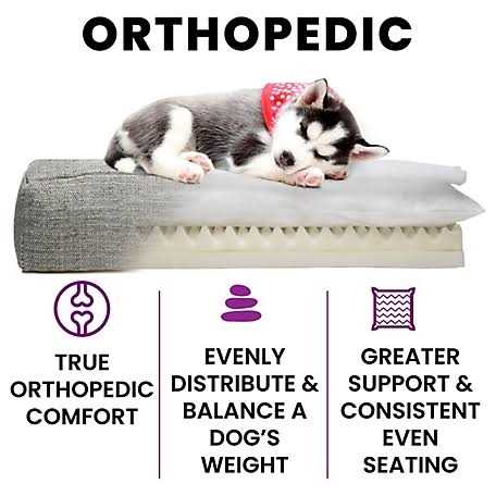 Orthopedic Dog Bed W8737