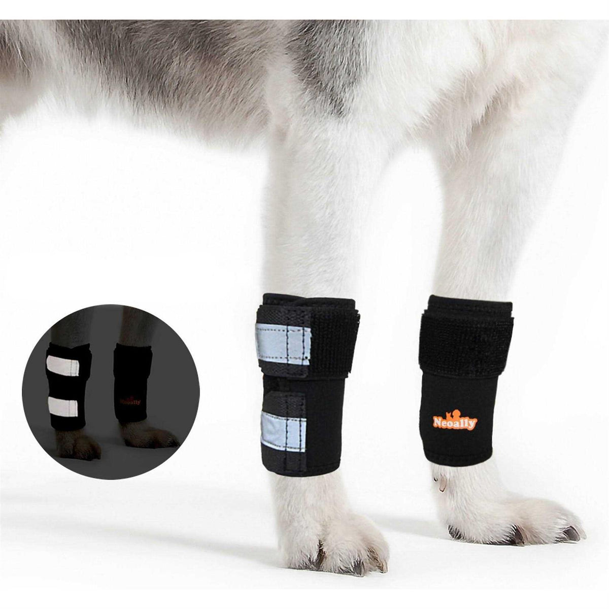 Dog Front Leg Braces and Support I783120