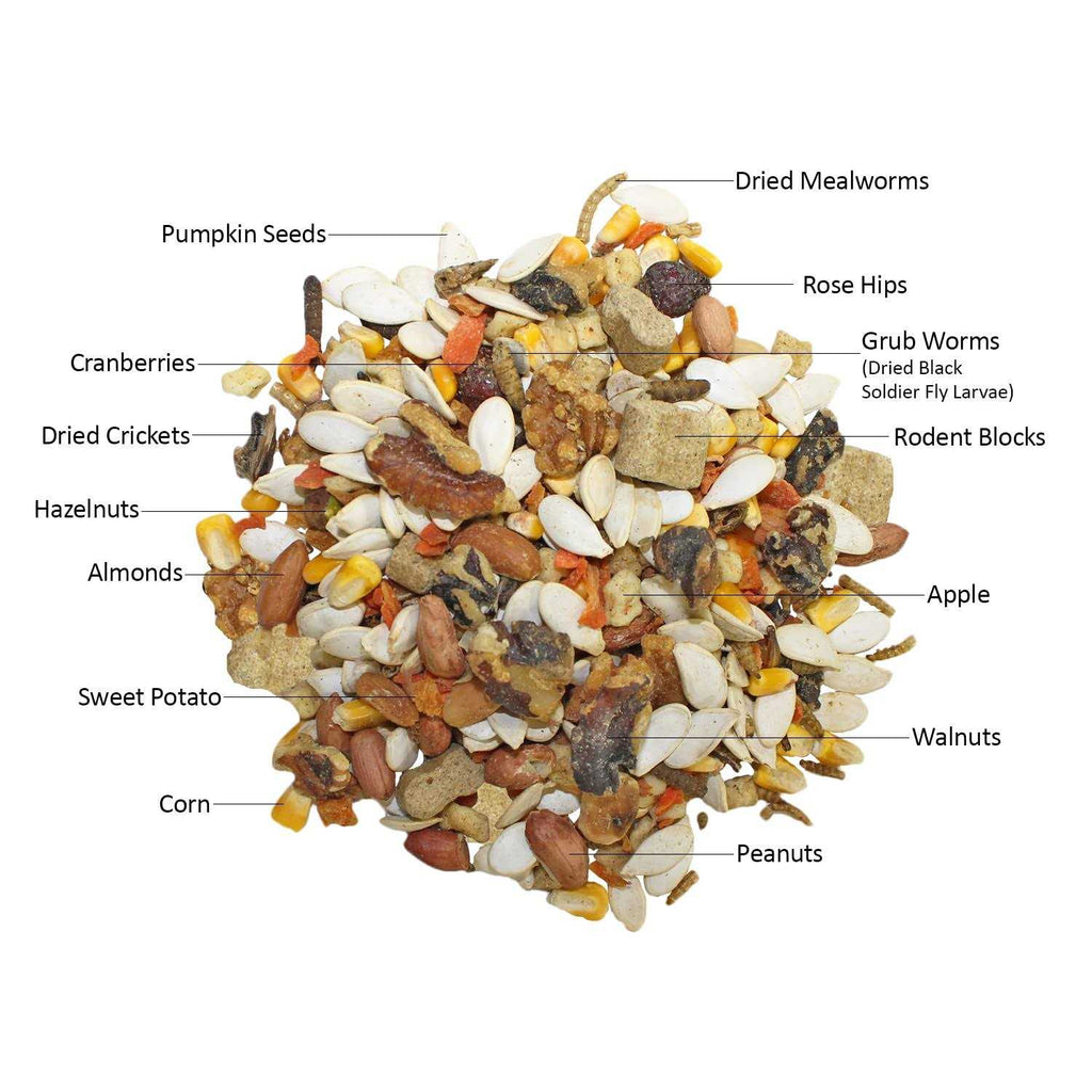 Complete Squirrel Food N832062