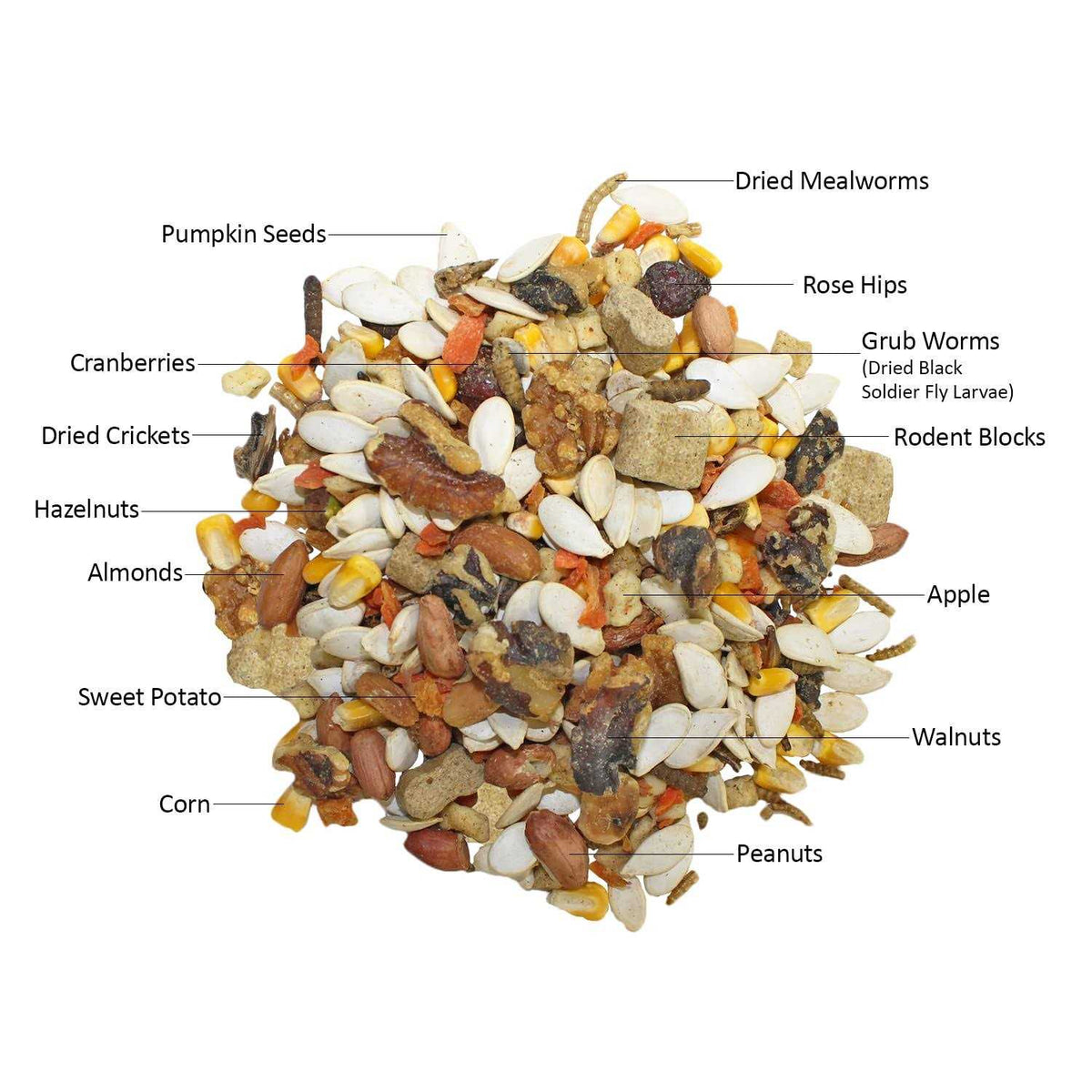 Complete Squirrel Food N832062