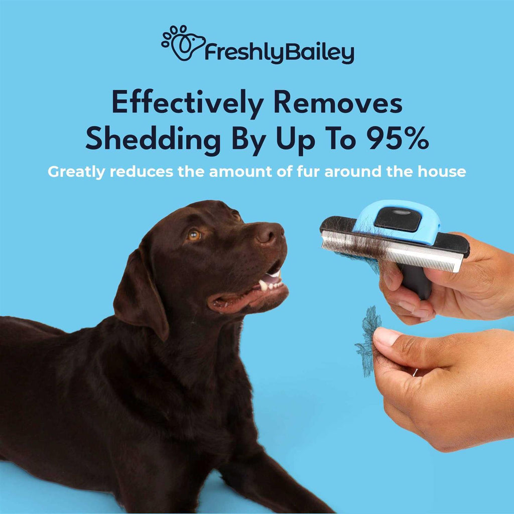 Deshedding Brush for Short Haired Dogs & Cats Z8071