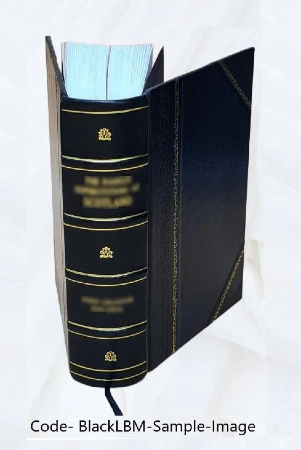Leather Bound O486907