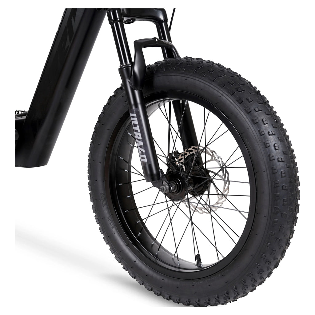 20 36V 250W Pedal-Assist Electric Bike I929233