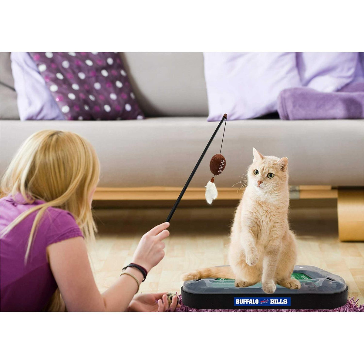 Cat Scratcher E25561