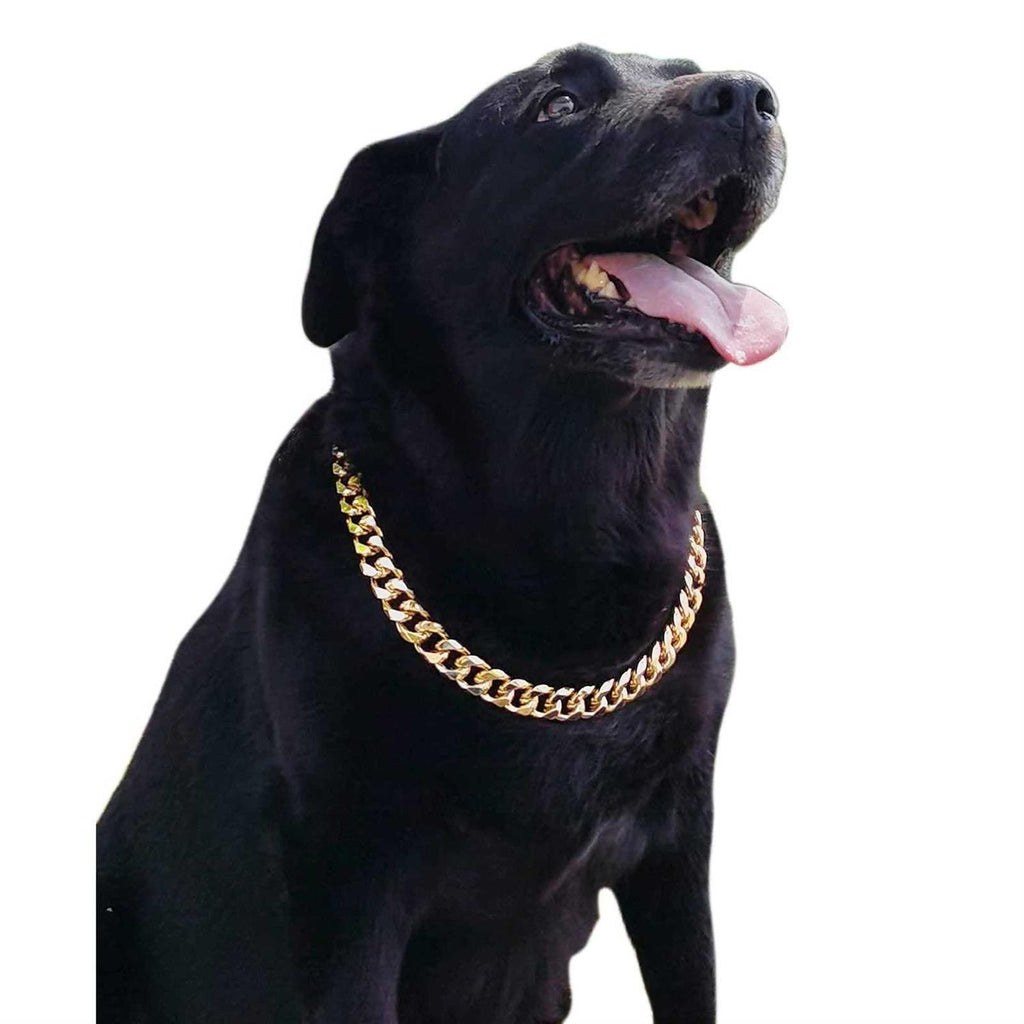 Gold Chain Cuban Link Dog Collar G87701