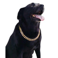 Gold Chain Cuban Link Dog Collar G87701