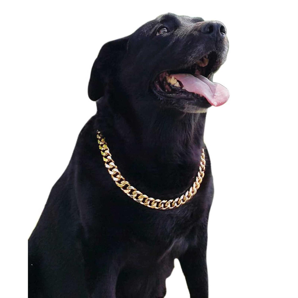 Gold Chain Cuban Link Dog Collar G87701