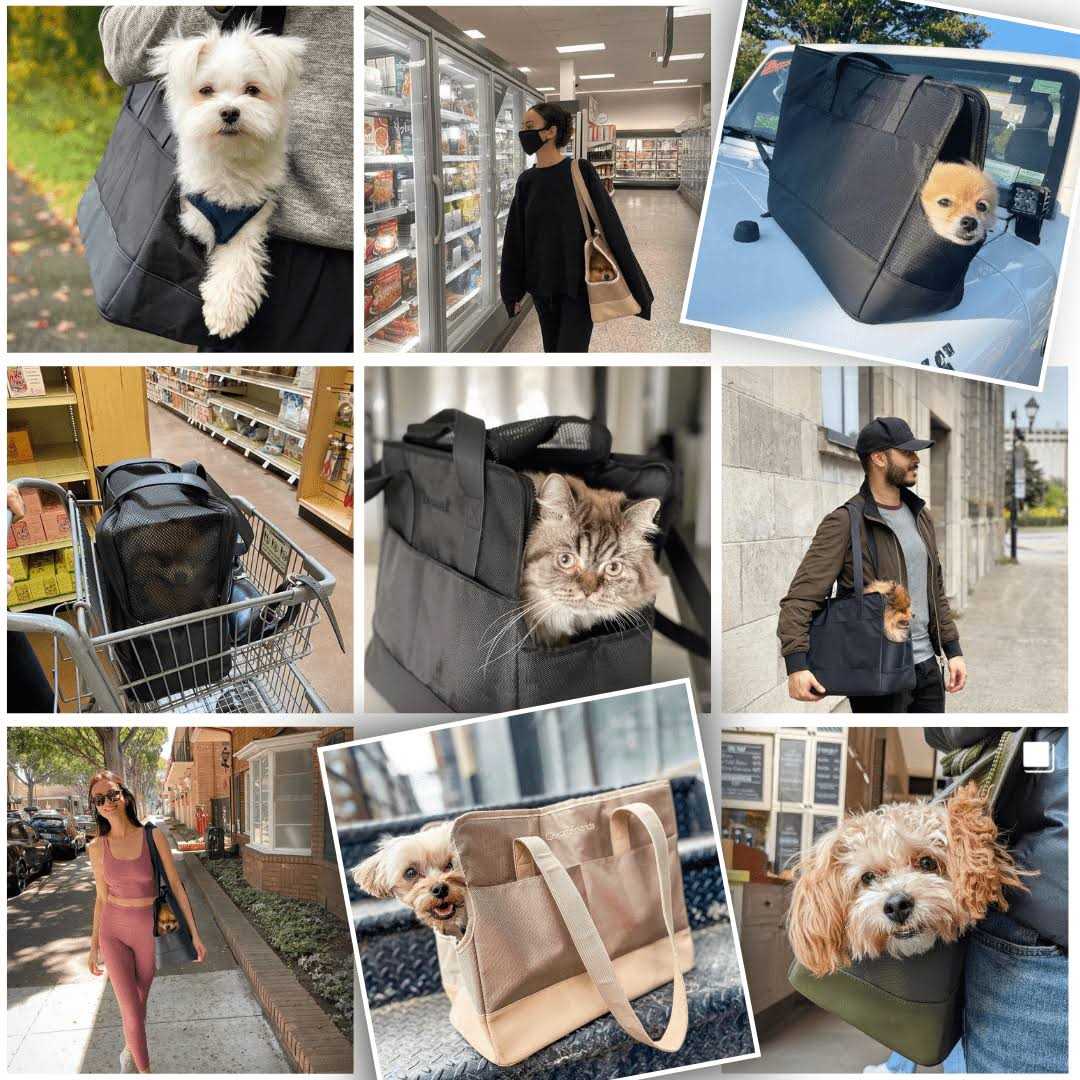 Pet Tote Bag for Small Dogs and Cats P158392