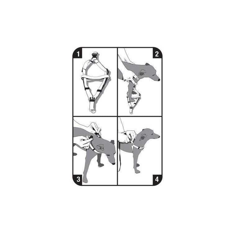 Step-In Dog Harness B395467