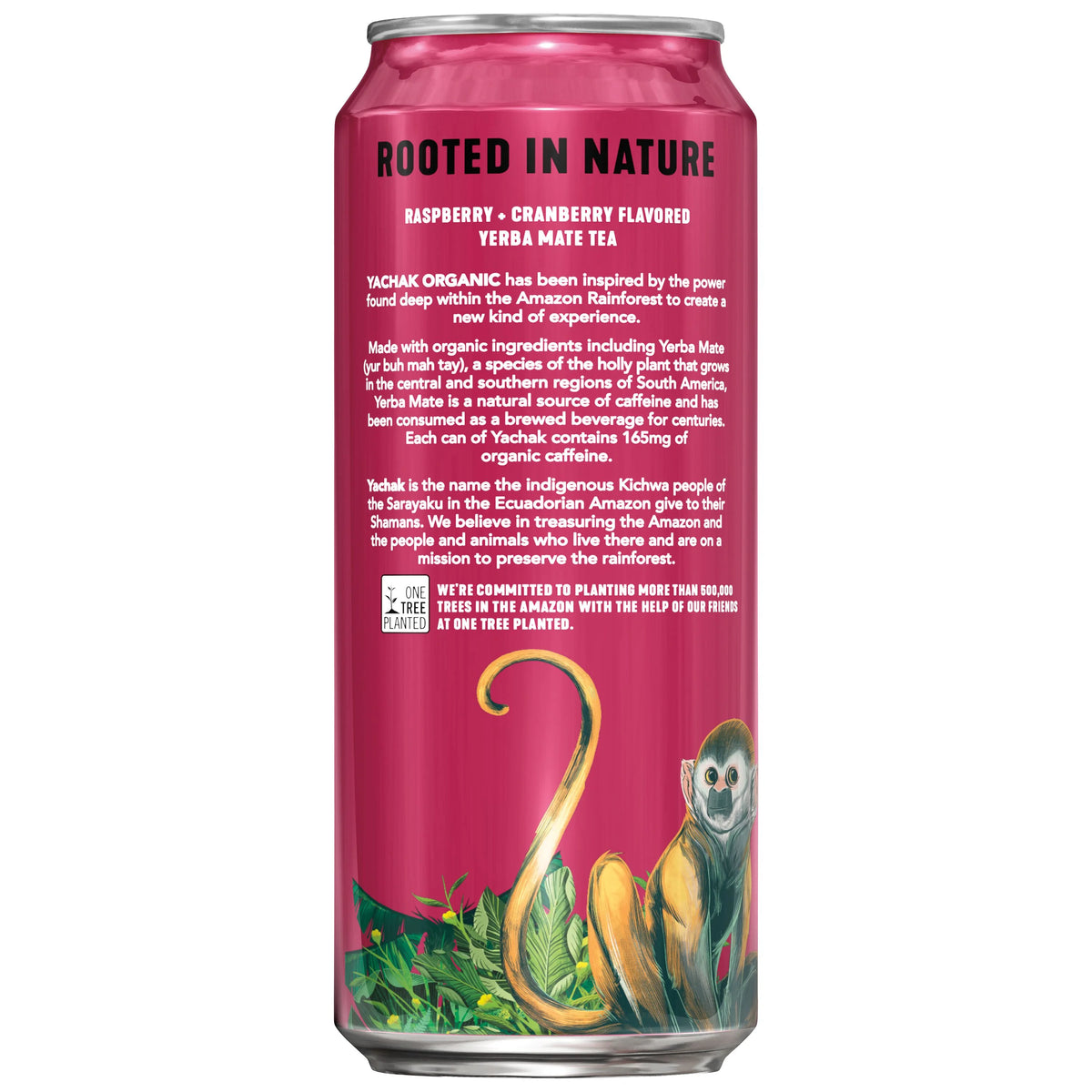 Yerba Mate Drink 16 fl oz 12 Pack Cans C971978