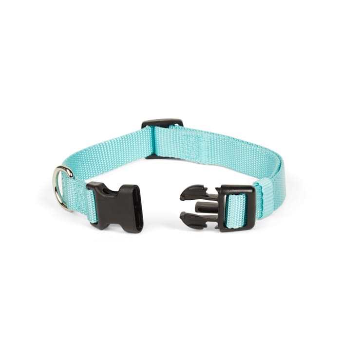 Adjustable Dog Collar B3029