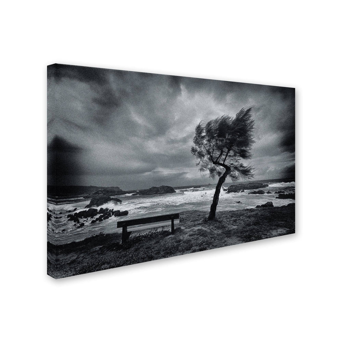 Canvas O2918