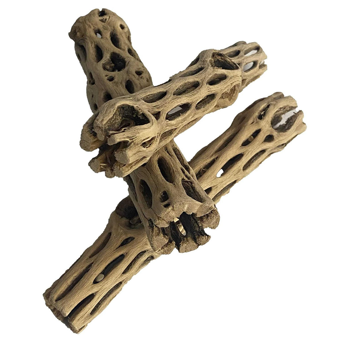 Natural Cholla Wood 3 Pieces Aquarium Decoration M9894