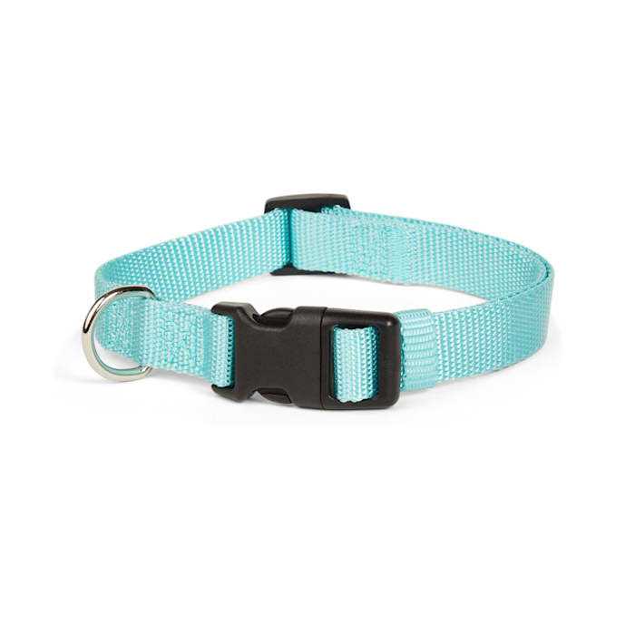 Adjustable Dog Collar B3029