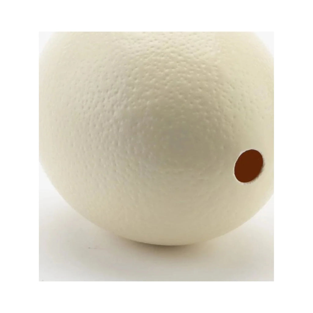 Ostrich Eggshells R854634