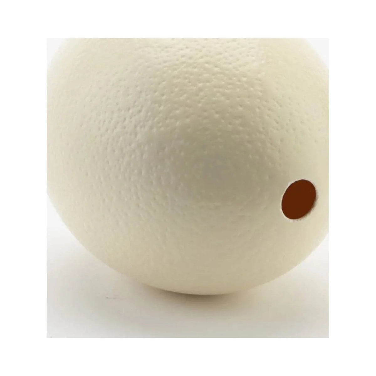 Ostrich Eggshells R854634