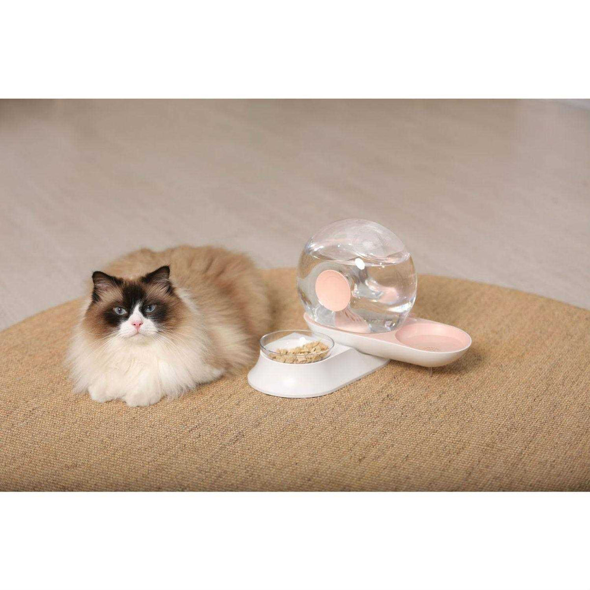 Snail Shaped 2-in-1 Gravity Pet Water Dispenser and Food Bowl X6775