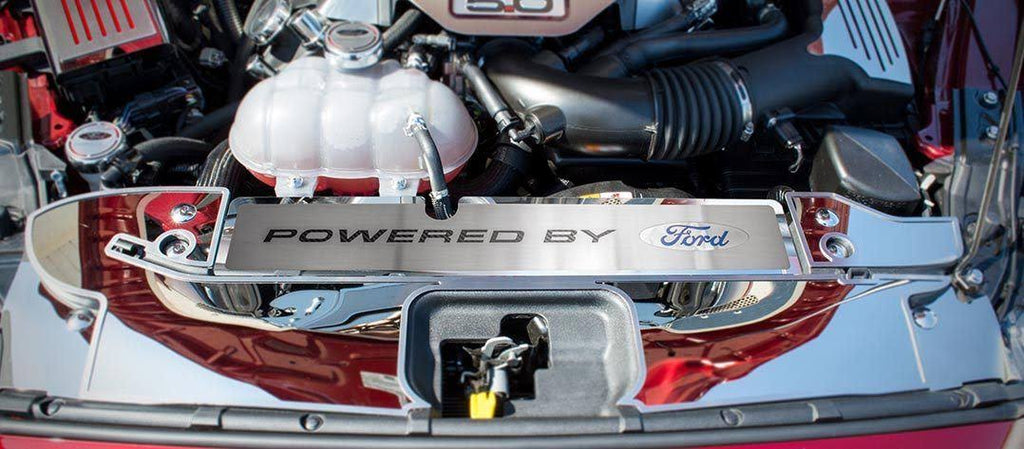 Mustang Radiator Cover Vanity Plate O595