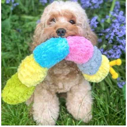 Pastel Caterpillar Pet Supplies J852041