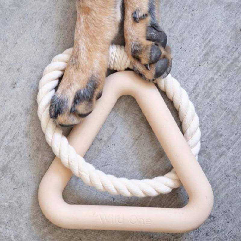 Triangle Tug Dog Toy X17930