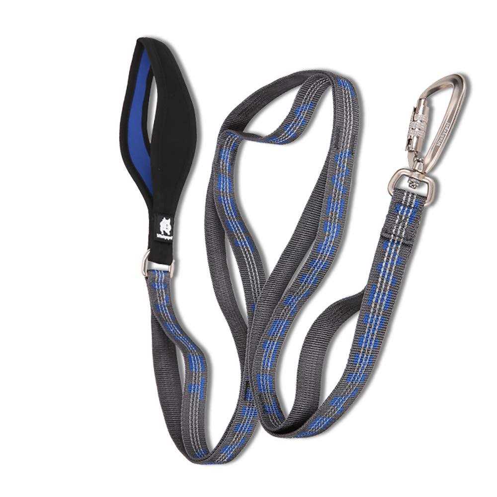 Heavy Duty Multi Handle Dog Leash X582