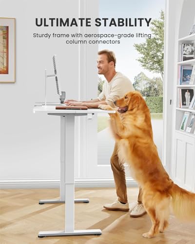 Height Adjustable Electric Standing Desk 48 x 24 Inches Black O185526