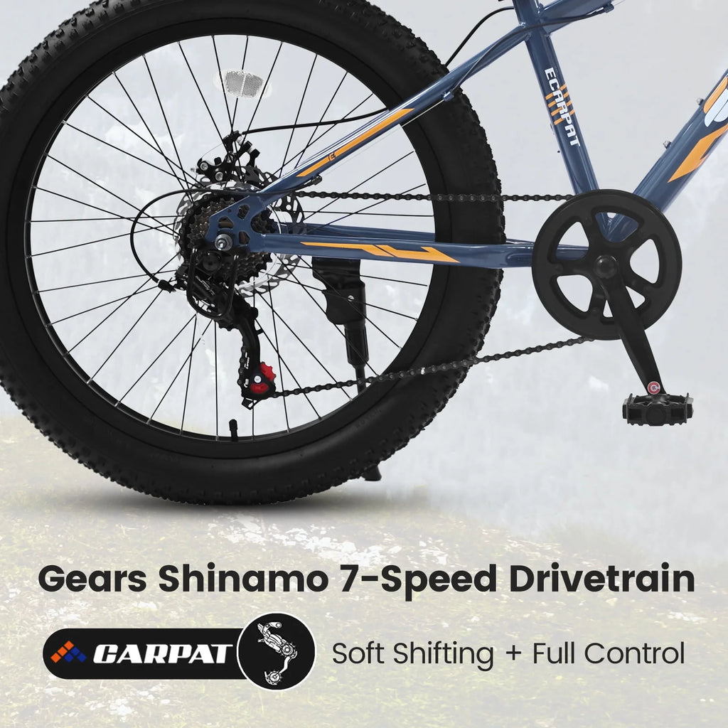 Green 24 inch Fat Tire Mountain Bike W574811