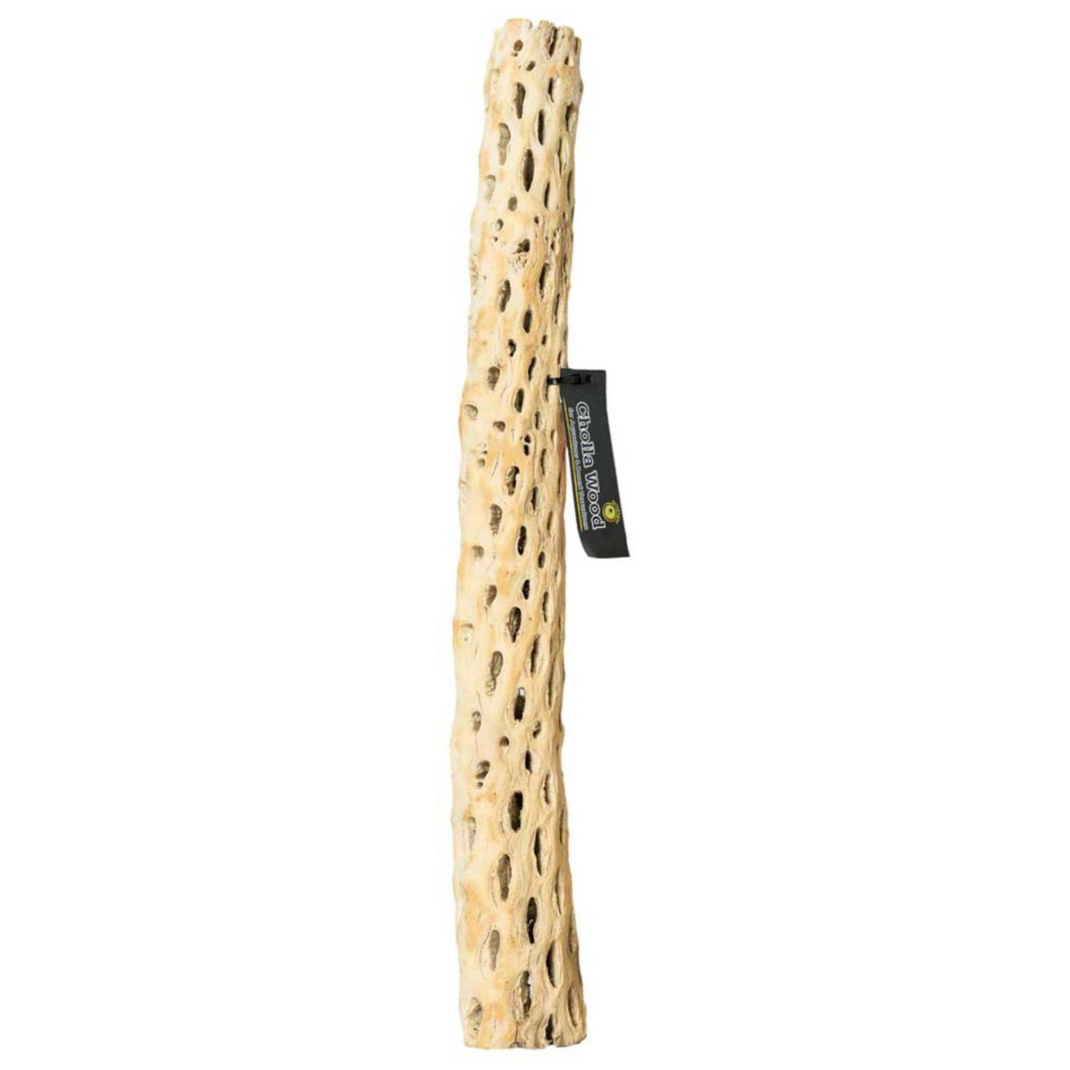 Cholla Wood J109603
