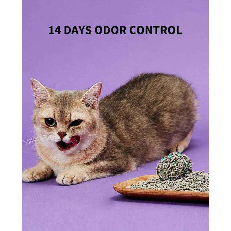5 in 1 Mixed Cat Litter P48219