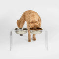 Clear Double Bowl Pet Feeder R6197