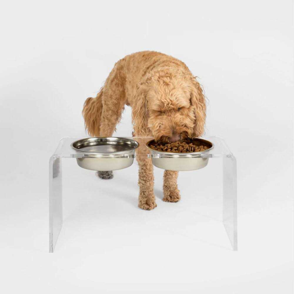 Clear Double Bowl Pet Feeder R6197